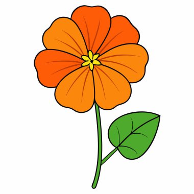 nasturtium, vektör beyaz arkaplanda çiçekler çiziyor,