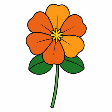 nasturtium, vektör beyaz arkaplanda çiçekler çiziyor,