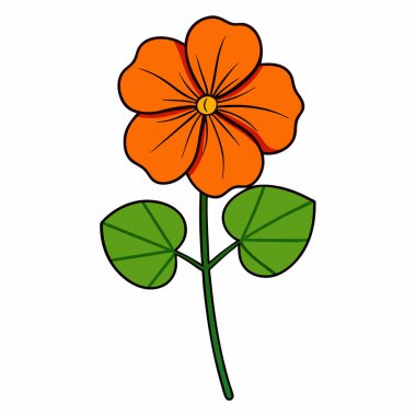 nasturtium, vektör beyaz arkaplanda çiçekler çiziyor,
