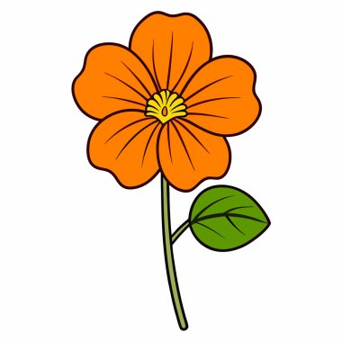 nasturtium, vektör beyaz arkaplanda çiçekler çiziyor,