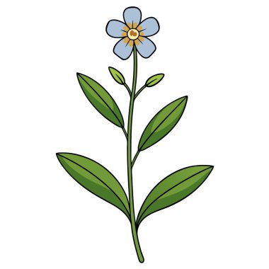 Beyaz arkaplanda Lobelia Çiçeği vektör çizimi.