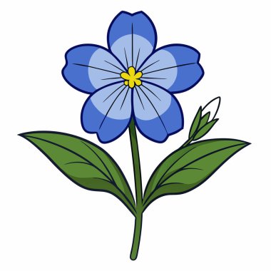 Beyaz arkaplanda Lobelia Çiçeği vektör çizimi.