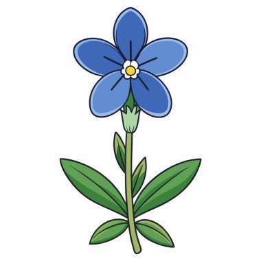 Beyaz arkaplanda Lobelia Çiçeği vektör çizimi.