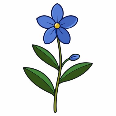 Beyaz arkaplanda Lobelia Çiçeği vektör çizimi.