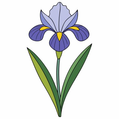 Yapraklarında parlak sarı elementler olan mor iris çiçeği. düz vektör illüstrasyonu.