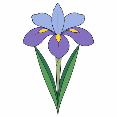 Yapraklarında parlak sarı elementler olan mor iris çiçeği. düz vektör illüstrasyonu.