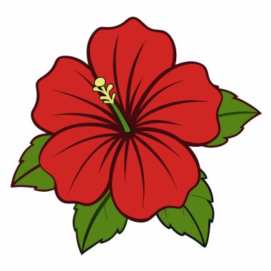 beyaz arkaplanda izole edilmiş hibiscus çiçeği düz vektör illüstrasyon klibiti