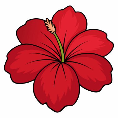 beyaz arkaplanda izole edilmiş hibiscus çiçeği düz vektör illüstrasyon klibiti