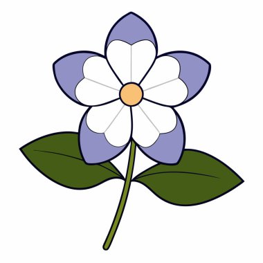 Heliotrope çiçeği düz vektör çizimi yapıyor.