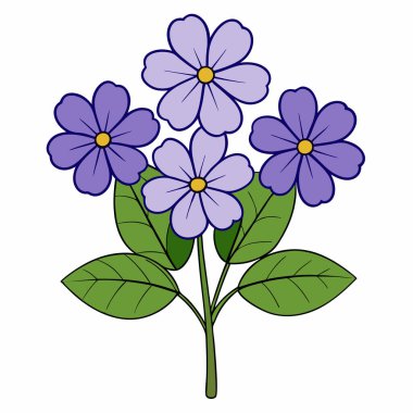 Heliotrope çiçeği düz vektör çizimi yapıyor.