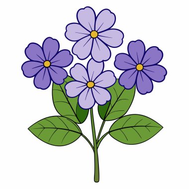 heliotrope flower drawing flat vector illustration. clipart