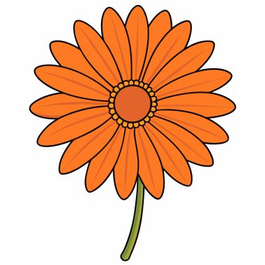 Tasarım simgeler vektör çizim çiçek (papatya, gerbera, aster).