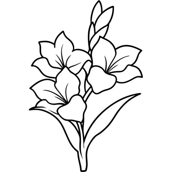 Düz vektör gladiolus çiçek çizimi