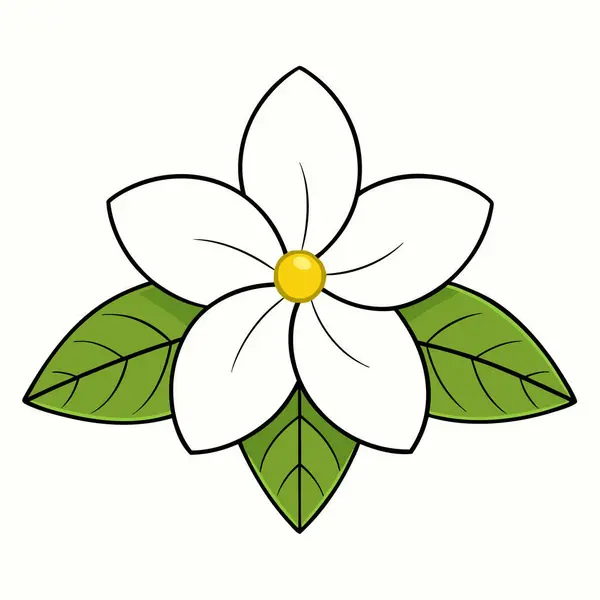 Gardenya Çiçeği düz vektör botanik çizimi.