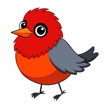 Amerikalı Robin Birds Vektör İllüstrasyonu
