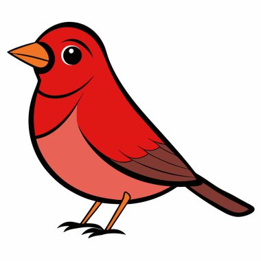 Amerikalı Robin Birds Vektör İllüstrasyonu
