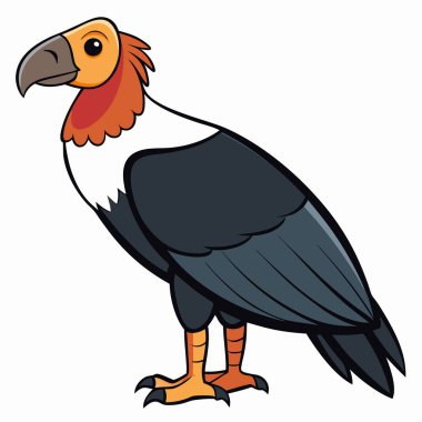 Andean Condor Birds Vector Illustration