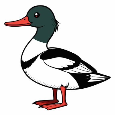 Duck flat vector illustration isolated on white background. clipart