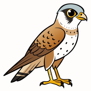 Şahin karikatür çizimi beyaz arkaplanda izole edildi