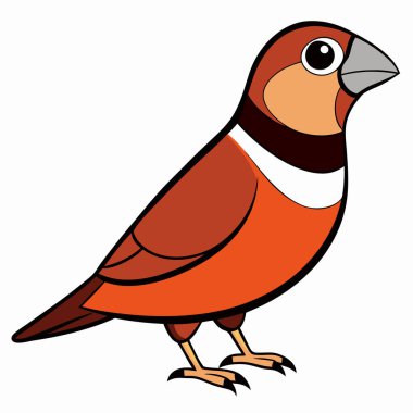 Finch in cartoon style isolated on a white background. City birds. Vector flat illustration.