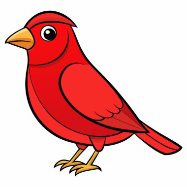 Karikatür tarzındaki Finch beyaz bir arkaplanda izole edilmiş. Şehir kuşları. Vektör düz resimleme.