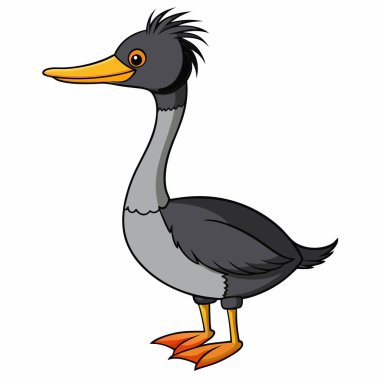 Grebe Bird vector illustration on white background clipart