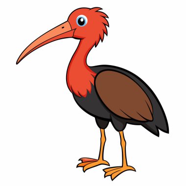Ibis vektör illüstrasyonu beyaz arkaplan