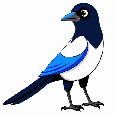 Illustration of magpie bird Isolated clipart