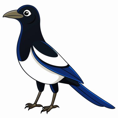 Illustration of magpie bird Isolated clipart