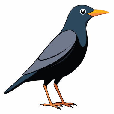 starling vector illustration, cartoon clipart character, animal in flat style. clipart