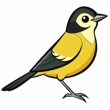 Güzel bir vireo kuş vektör çizimi çizimi