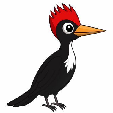 illustration of a Woodpecker animal on white background clipart