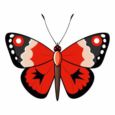 Camberwell Güzellik Kelebeği vektör çizimleri beyaz arka planda.