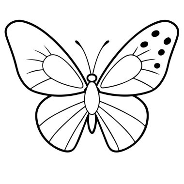 Gray Hairstreak butterfly vector illustrations on a white background. clipart