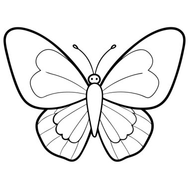 Gray Hairstreak butterfly vector illustrations on a white background. clipart