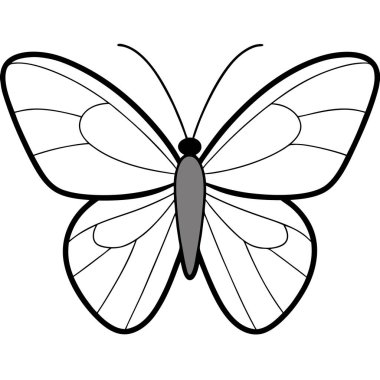 Gray Hairstreak butterfly vector illustrations on a white background. clipart