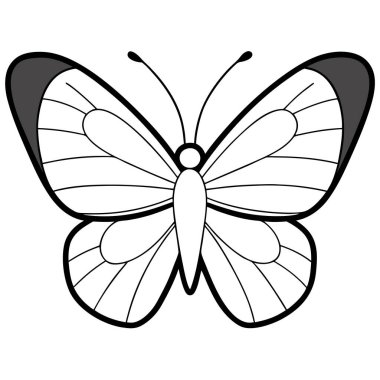 Gray Hairstreak butterfly vector illustrations on a white background. clipart