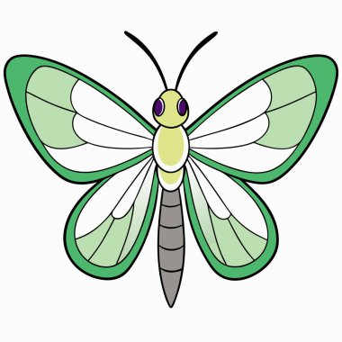 green-veined white butterfly vector illustrations on a white background. clipart