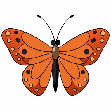 Beyaz arka planda körfez Fritiller Kelebek vektör çizimleri.