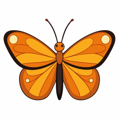 Julia Heliconian butterfly vector illustrations on a white background. clipart