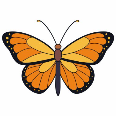 Julia Heliconian butterfly vector illustrations on a white background. clipart