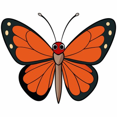Beyaz arkaplanda Julia Heliconian kelebek vektör çizimleri.