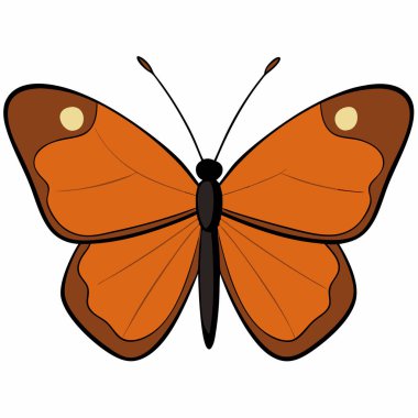 Julia Heliconian butterfly vector illustrations on a white background. clipart