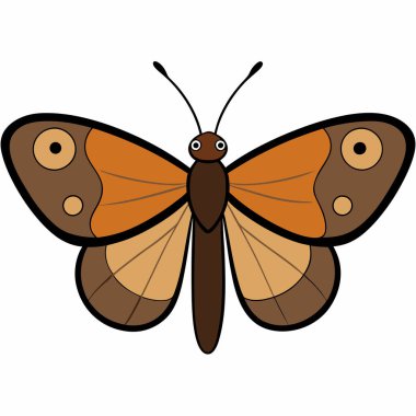 meadow brown butterfly vector illustrations on a white background. clipart