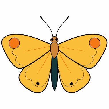 Orange Sulphur butterfly vector illustrations on a white background. clipart