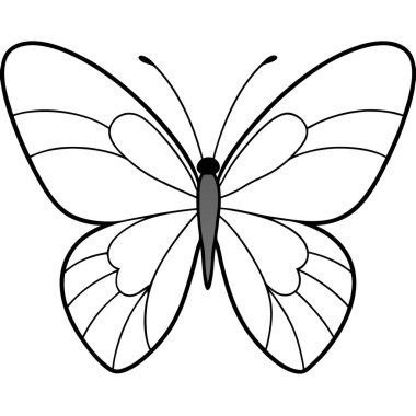 Pale Clouded Yellow butterfly vector illustrations on a white background. clipart