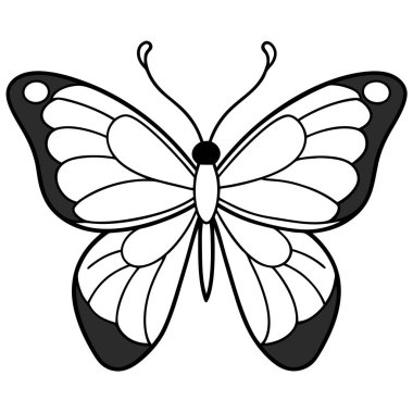 Purple Emperor butterfly vector illustrations on a white background. clipart