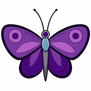 Purple Hairstreak butterfly vector illustrations on a white background. clipart