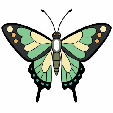 Scarce Swallowtail butterfly vector illustrations on a white background. clipart