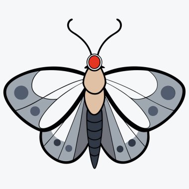 Silver-spotted Skipper butterfly vector illustrations on a white background. clipart